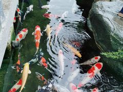 -贵阳高新惠诚食品有限公司