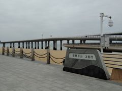 -演武大桥观景平台