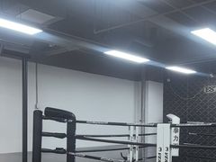 -拳力汇散打搏击泰拳俱乐部(绿地缤纷城店)