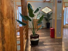 -鲁山人日本料理·放题·套餐(松卫北路店)