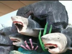 -青鱼湾水上乐园