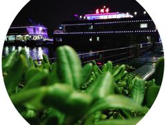 -武汉两江游览·夜游长江(汉口粤汉码头)