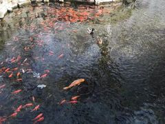 -水磨沟公园