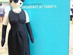 -济州岛泰迪熊博物馆