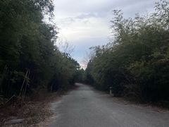 通往收费入口步道-南京市无想山景区