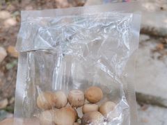 -沈阳辉山风景区