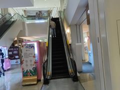 -小熊吉姆(kkone店)