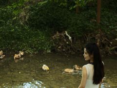 -桤木河湿地公园