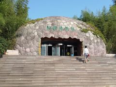 -中国西峡恐龙遗迹园