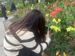 -神光山国家森林公园