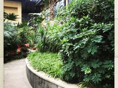 -郑州银基黄帝宫御温泉