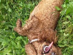 -白鹭湾湿地公园