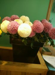 -原木·Top Design发型定制