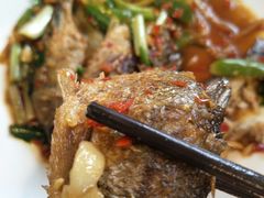 -生态苑农庄(十里画廊遇龙河店)