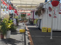 -大连星海广场音乐喷泉
