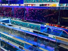 -超意兴·把子肉(省博物馆店)