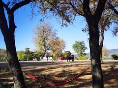 -北京西山国家森林公园