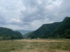 -狮子沟牧场