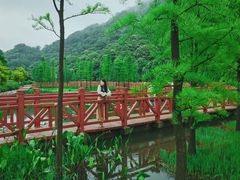 -广州市石门国家森林公园