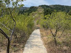 -北京西山国家森林公园