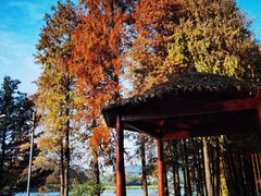 -白云湖畔酒店-湖畔餐厅