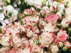 -花心思鲜花店(武昌徐东店)