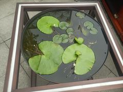 -铭牛烧肉·和牛海鲜自助(高新月牙湖店)