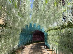 -郑州银基黄帝宫御温泉