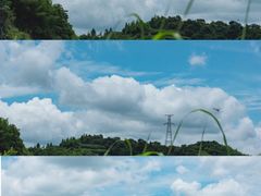 -四明山国家森林公园