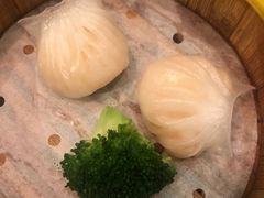 水晶鲜虾饺-香港新曜记茶餐厅(星耀城店)