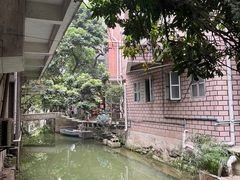 -小洲村