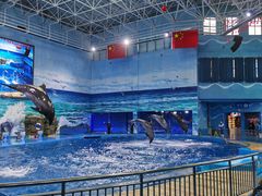 -多彩贵州城极地海洋世界