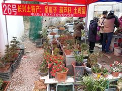 -长兴慧子土特产茶行