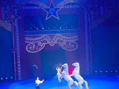 -珠海横琴长隆《卡卡虎奇遇记》