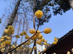 -虞山风景区