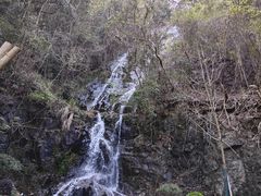 -宁海森林温泉