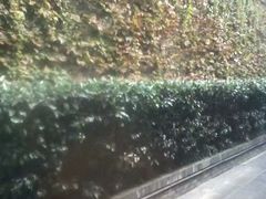 -星巴克臻选(成都宽窄巷子店)