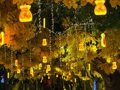 -横店影视城梦幻谷园区