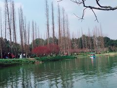 -秀丽东方