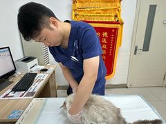 -派美特宠物医院·核磁CT·骨科肿瘤·疑难转诊(沈农禾丰店)