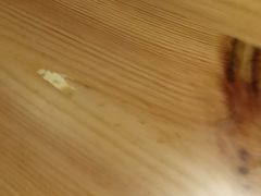 -东方时代广场(虎门大道店)