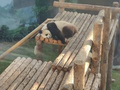 -大连森林动物园