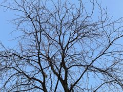 -沙河三洞古桥公园