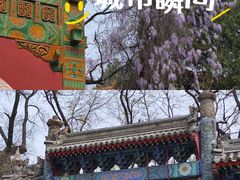 -北京国子监胡同