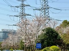 -外高桥保税区南(地铁站)