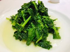 青炒时蔬-老吉士(环贸iapm店)