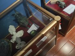 -Xcape异时刻密室逃脱魔法互动(瑞虹天地太阳宫店)