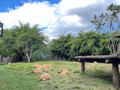 -宁波野生动物园