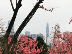 -秀丽东方
