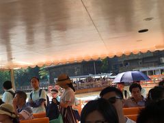 -大湾区中央湿地公园